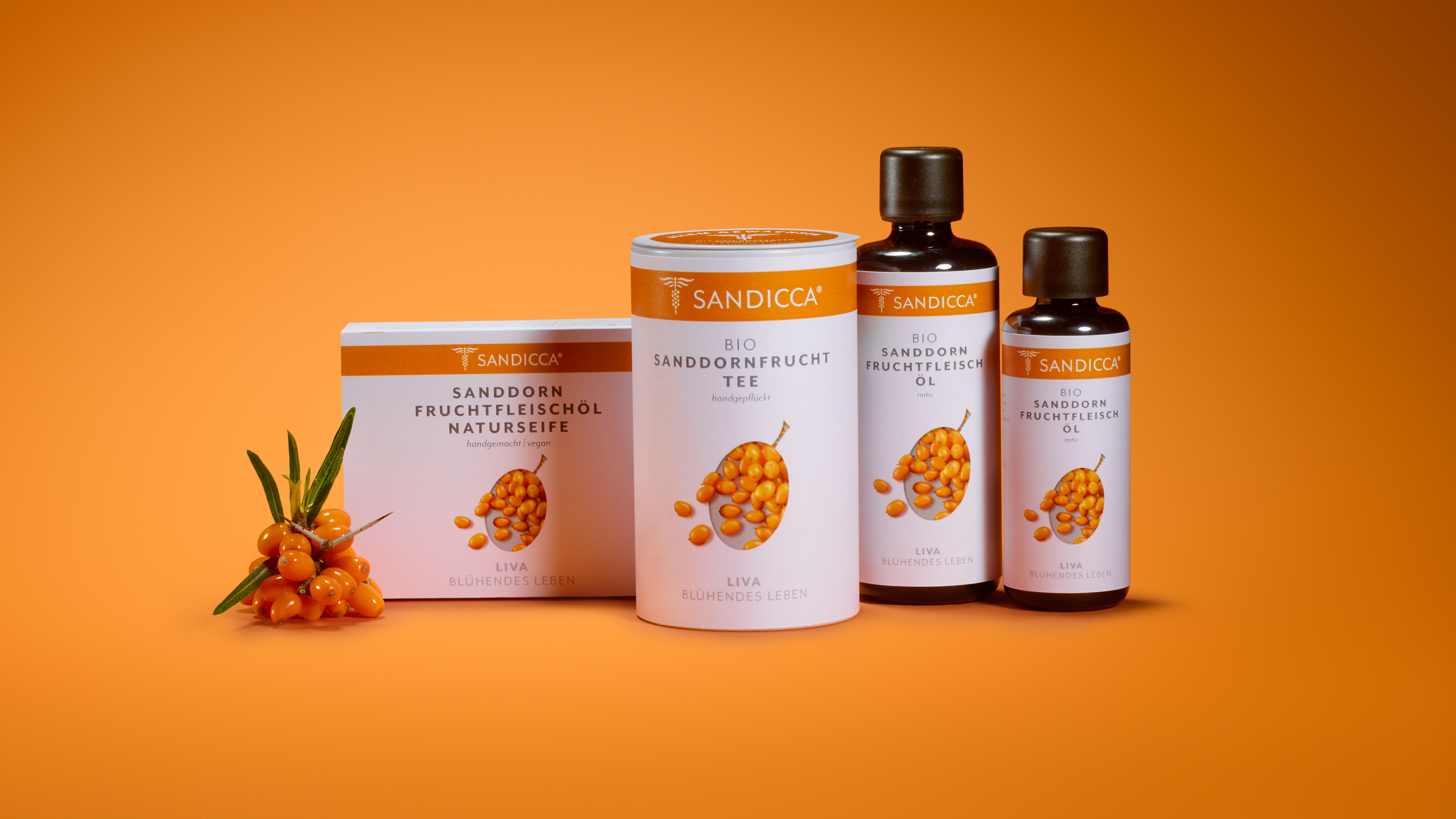 Sandicca Sanddorn Fruchtfleisch Range