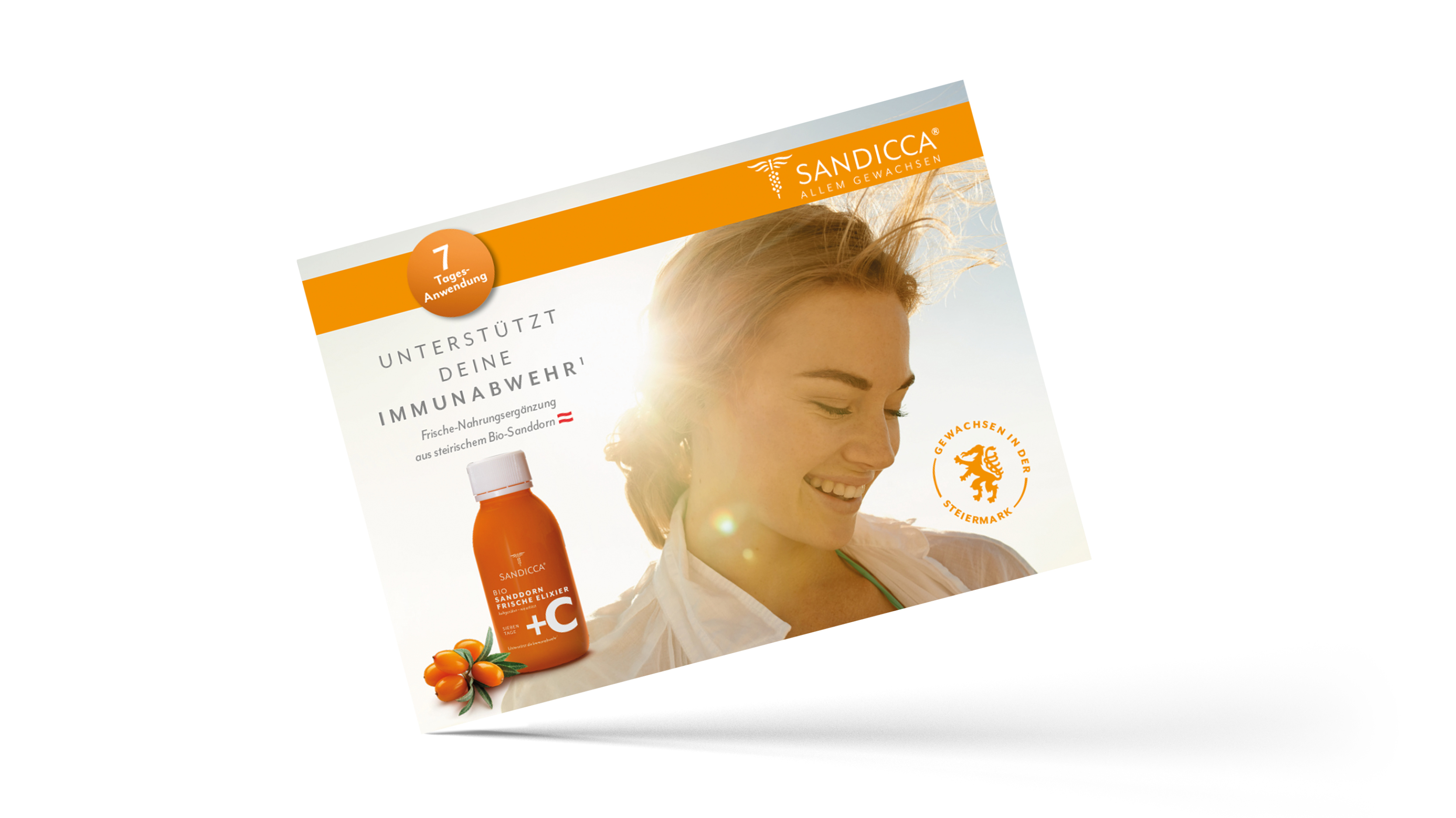 Flyer Sandicca Sanddorn Frische Elixier